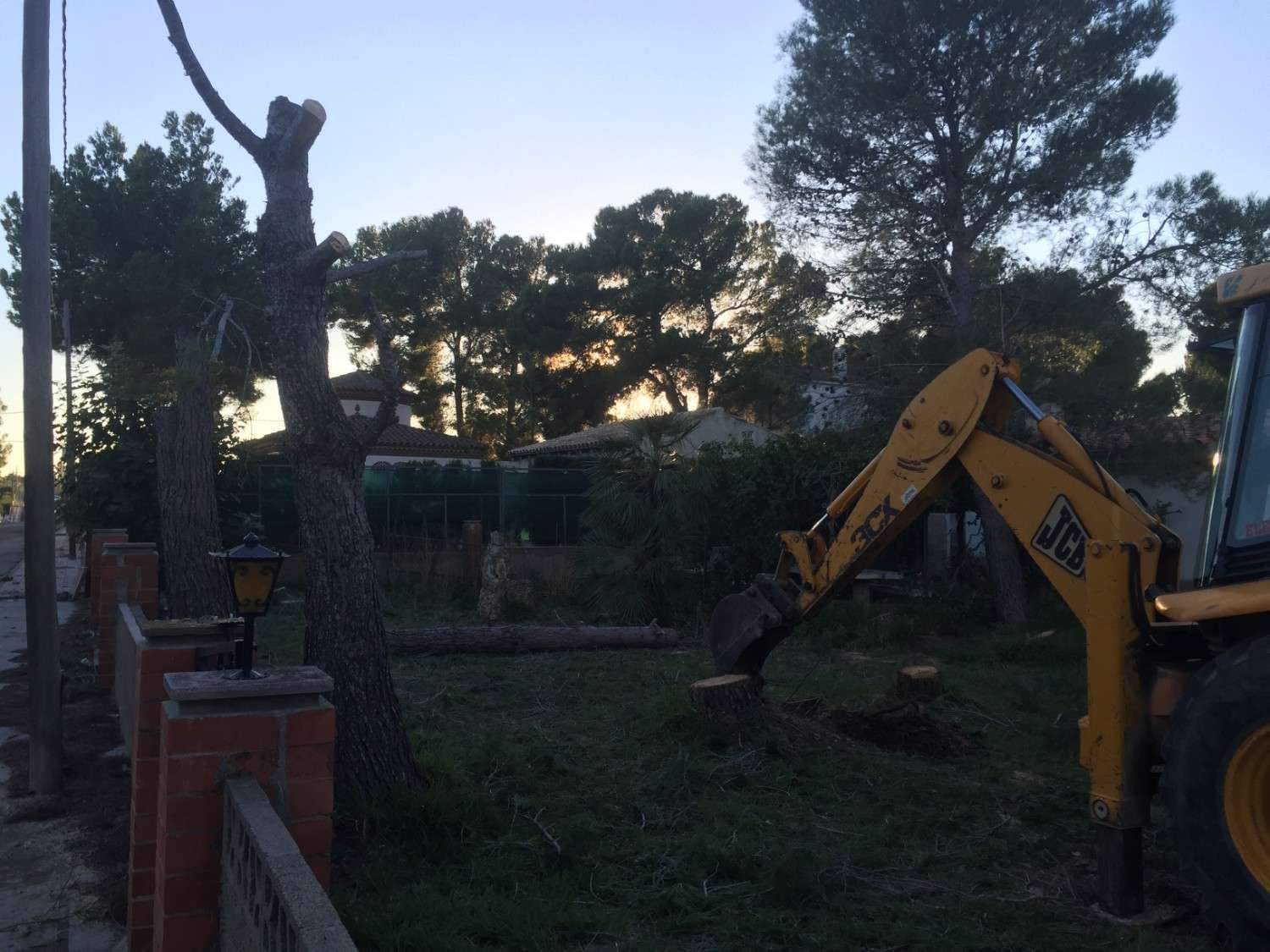 Retroexcavadora trabajando en un patio trasero al atardecer, con árboles y una persona de pie sobre un muro al fondo.