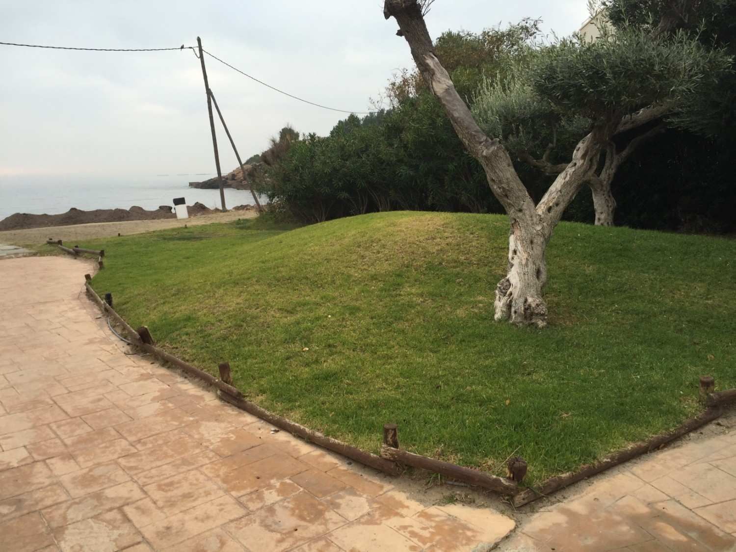 Sendero curvo junto al mar, bordeado de césped verde y árboles, con una pequeña casa blanca a lo lejos.