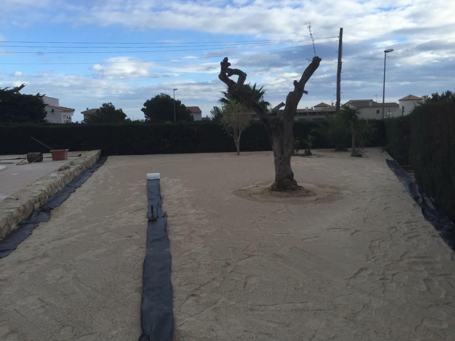 Un patio arenoso con un tocón de árbol podado, un muro bajo y un seto bajo un cielo nublado.