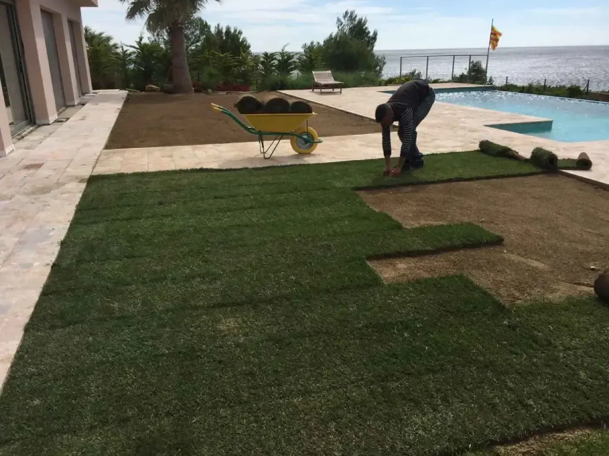Hombre colocando césped junto a una piscina con una carretilla y césped compactado en un área de césped de un patio.