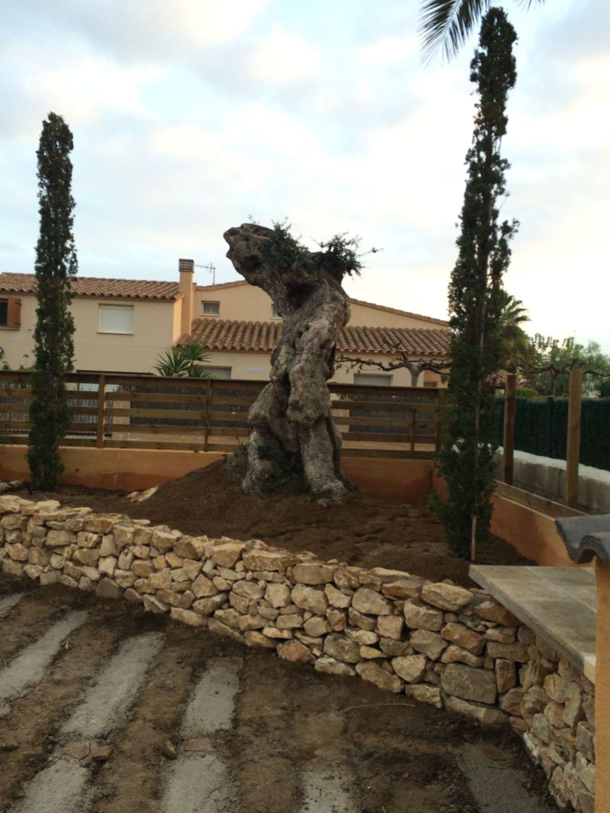 Jardín bordeado de piedras con un árbol retorcido, palmeras y una casa al fondo.
