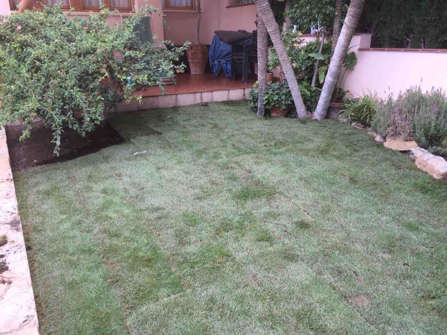 Jardín trasero con césped, arbustos, un patio de ladrillos y una zona de estar a la sombra cerca de una pared rosa.