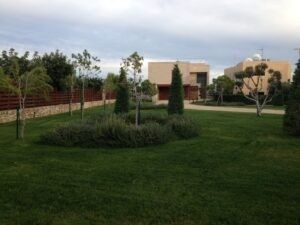 Jardín paisajístico con césped verde, arbustos y edificios modernos al fondo.