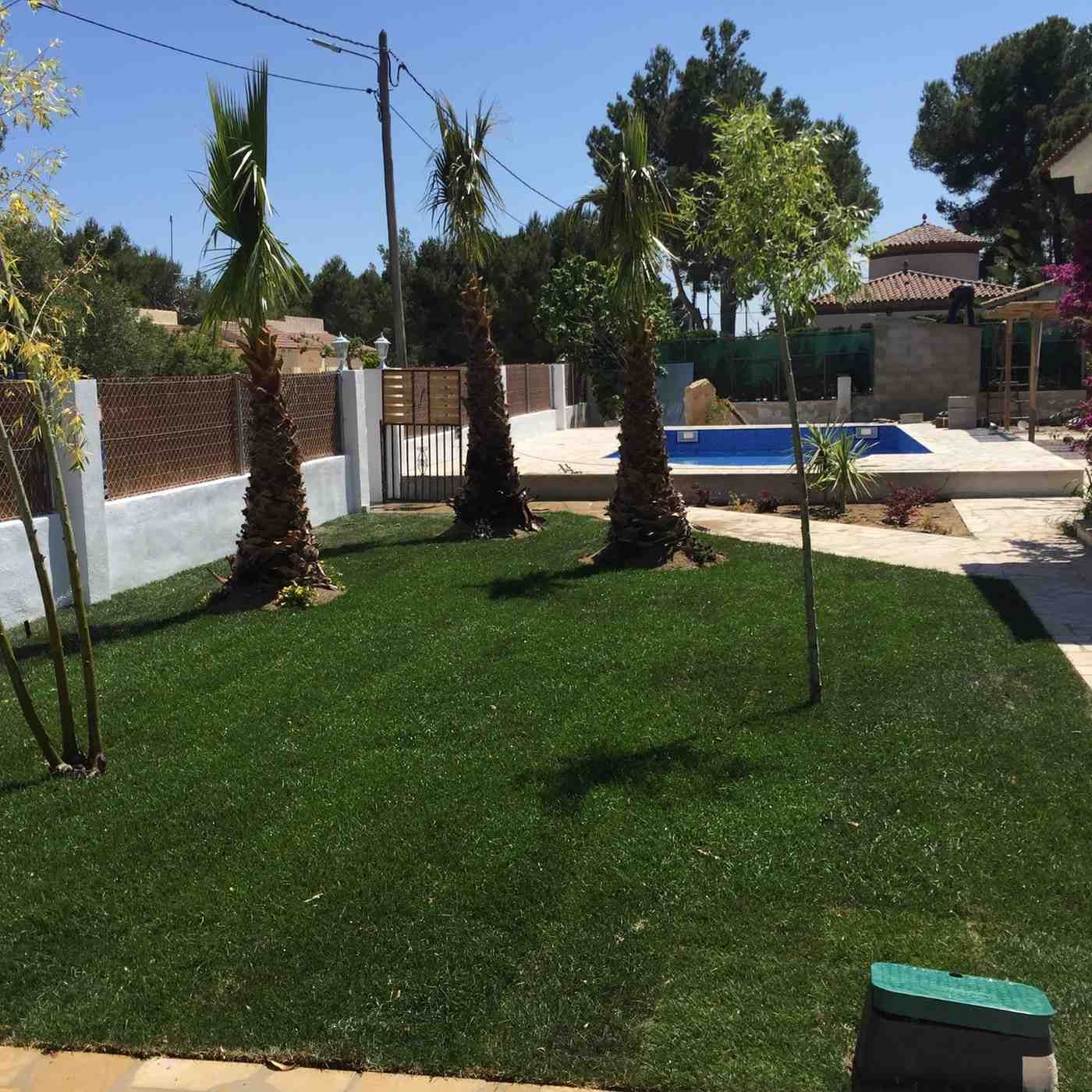 Jardín soleado con césped artificial, palmeras y una piscina junto a un patio.