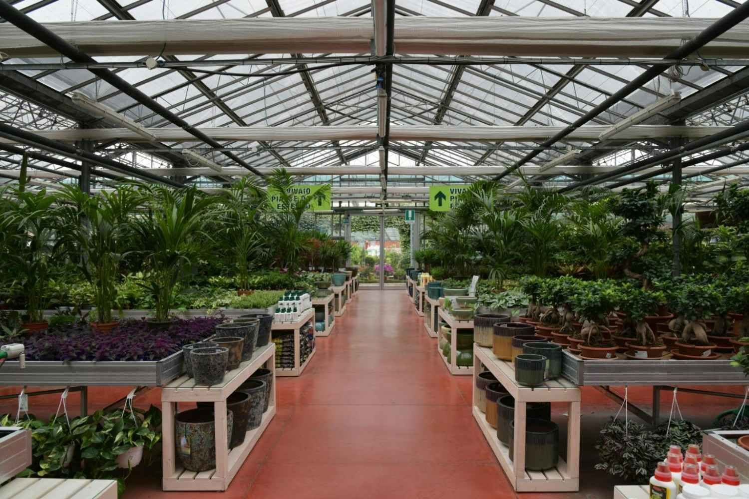Un pasillo de invernadero con filas de plantas en macetas sobre mesas y un suelo rojo bajo un techo de cristal.
