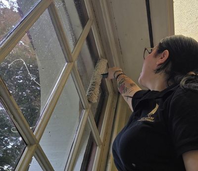Reinigung von Fensterfronten