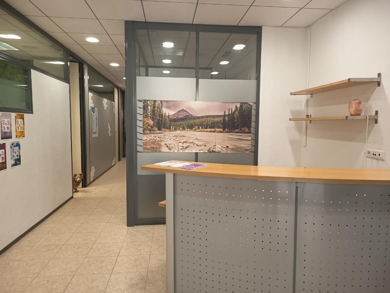 Vestíbulo de oficina con mostrador de recepción, pasillo y foto de paisaje enmarcada en la pared.