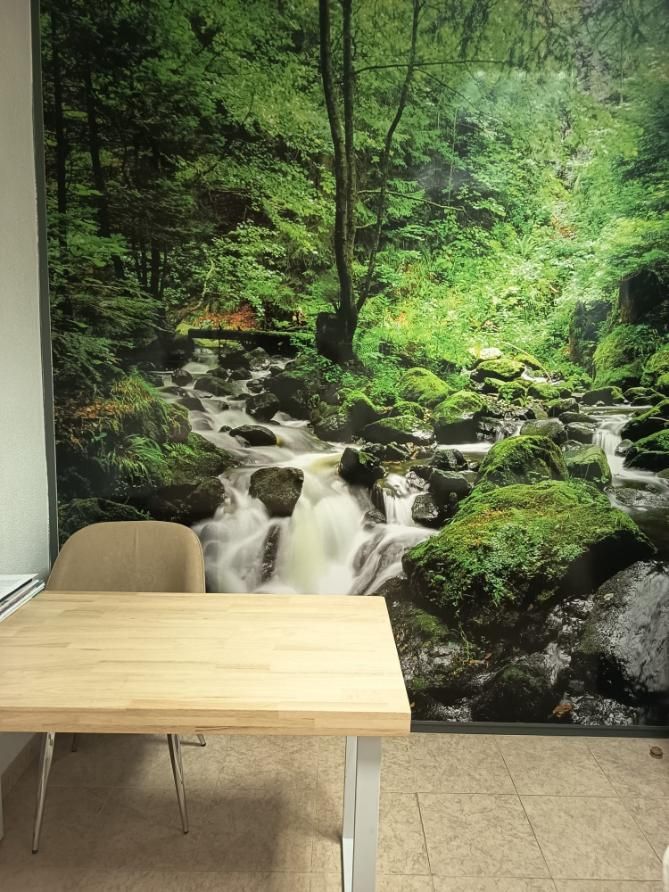 Mesa y silla de reuniones frente a un gran mural que representa un arroyo en el bosque.