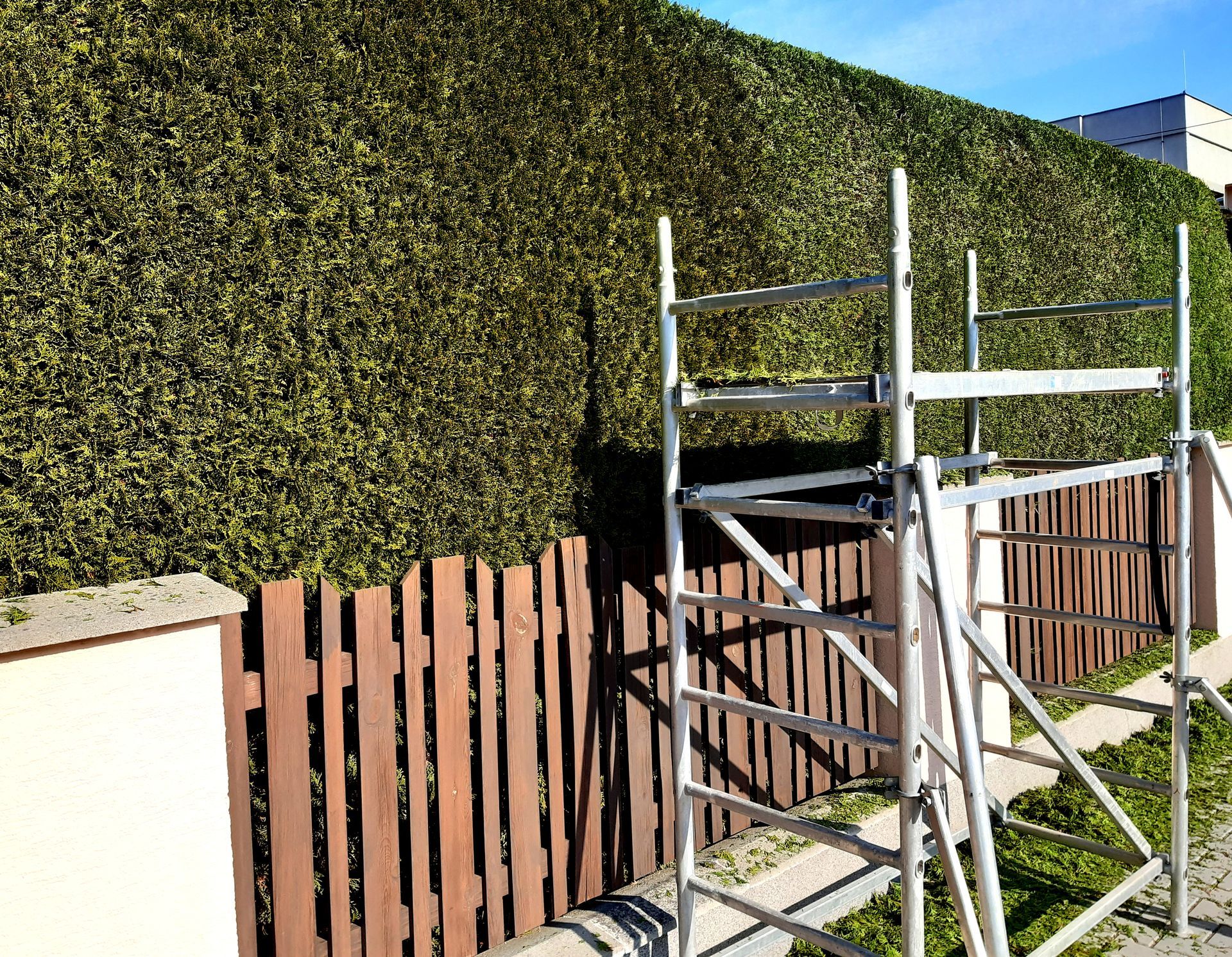 Échafaudage de jardin face à une haie