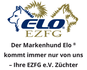 Elo, EZFG e.V. ELO EZFG-Logo mit weißen und goldenen Hundekonturen und deutschem Text über den eingetragenen Hundezüchterverein