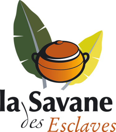 Lasavanedesesclaves Fr