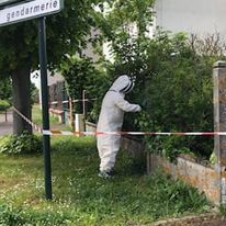 Personne en train d'enlever un nid d'abeilles
