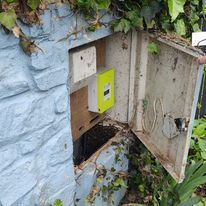 Un nid d'abeilles avec un compteur électrique