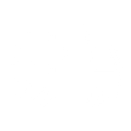 Icon Lkw