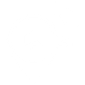 Icon Auto