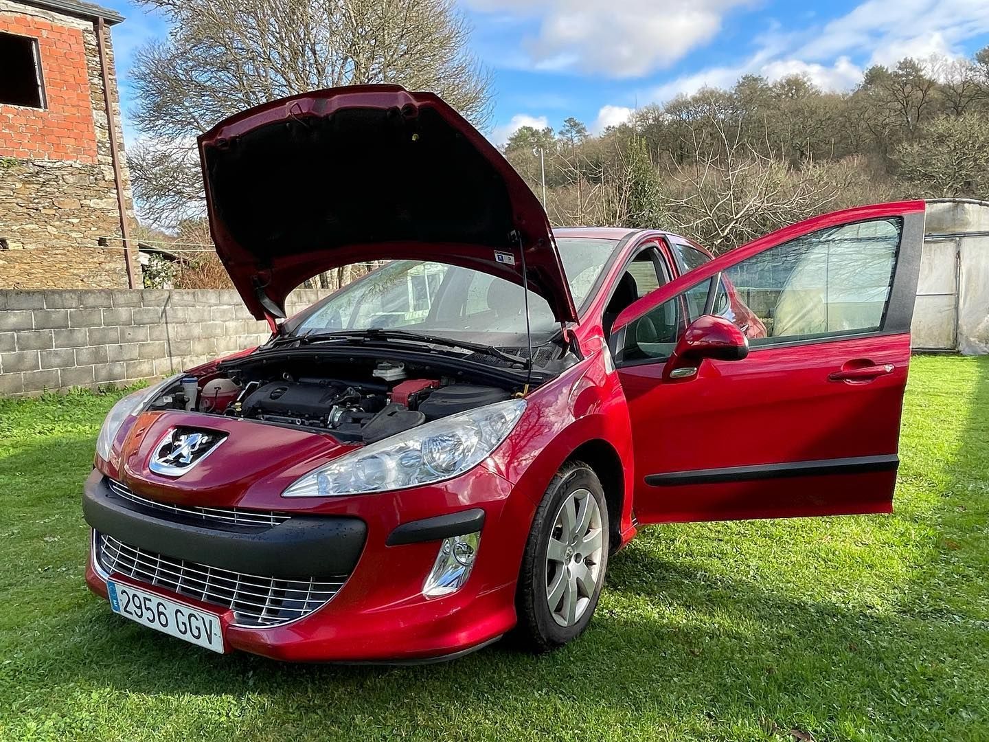 Un coche rojo con el capó levantado está estacionado en un campo de hierba.