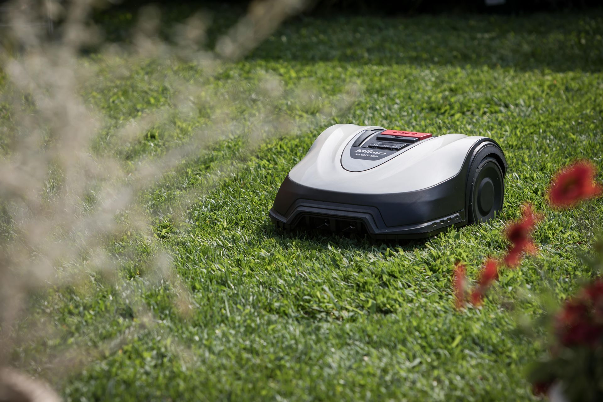 Robot tondeuse blanc et noir