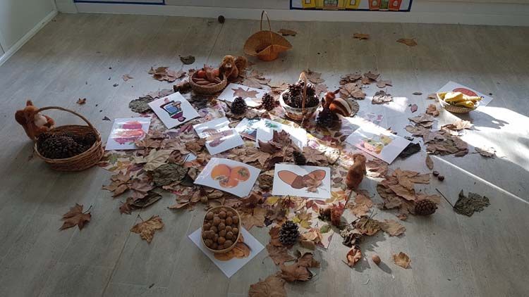 Un montón de hojas y piñas en el suelo de una habitación.
