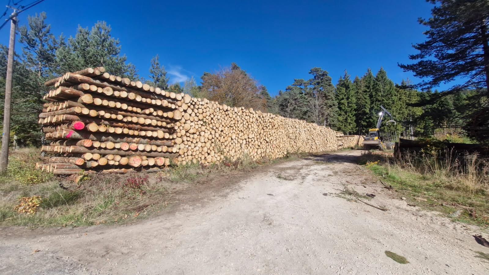 Pile de grumettes débardées au bord d'une route