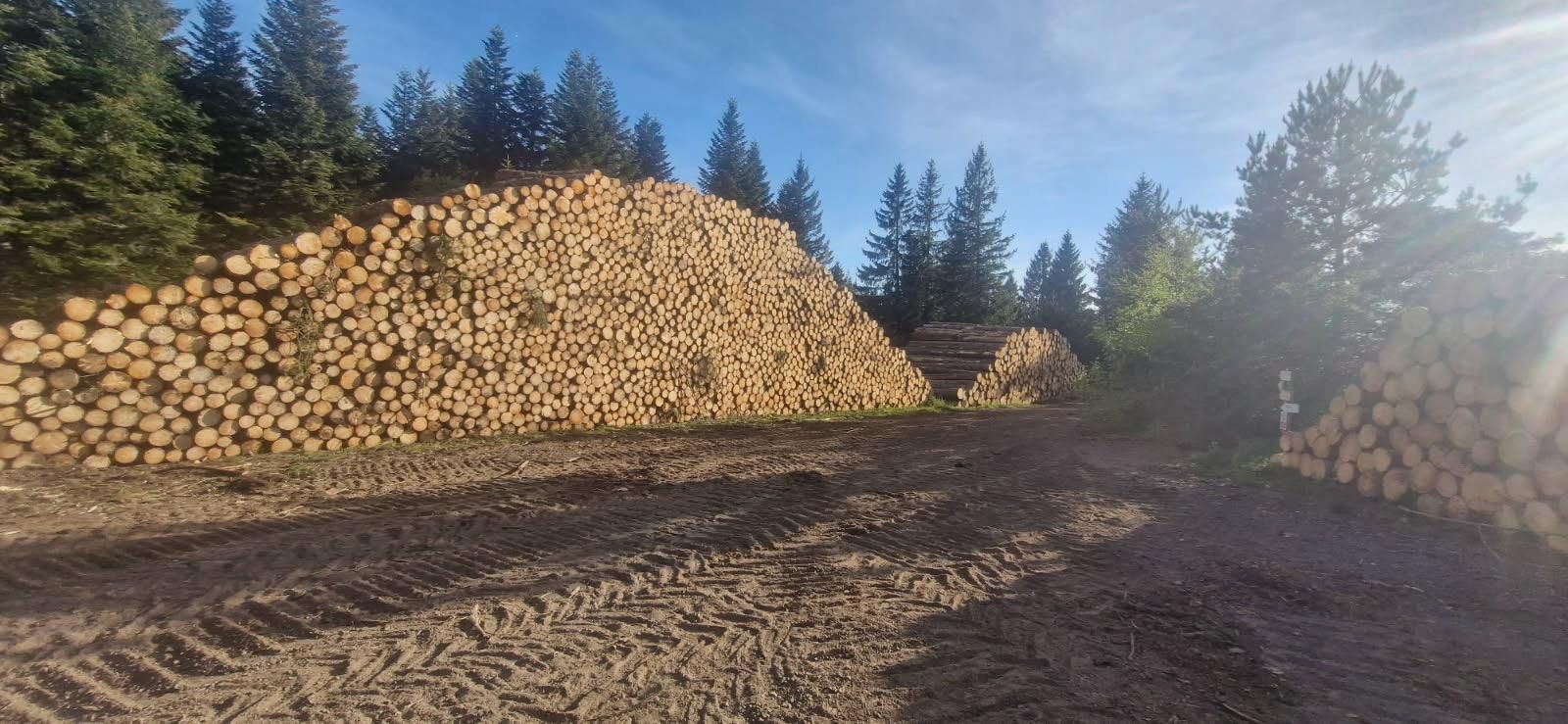 Grosse pile de billons sur une fin de chantier