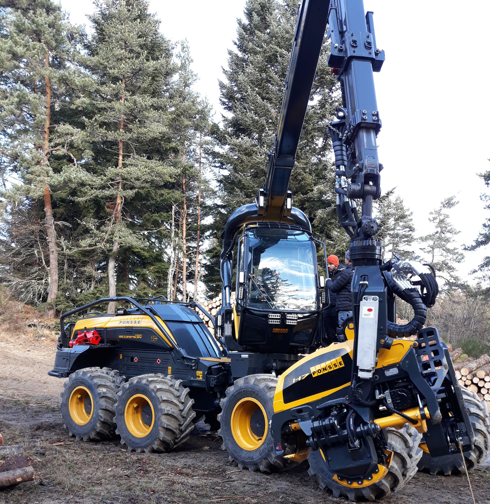 Des engins pour l'abattage et le débardage d'arbres en forêt