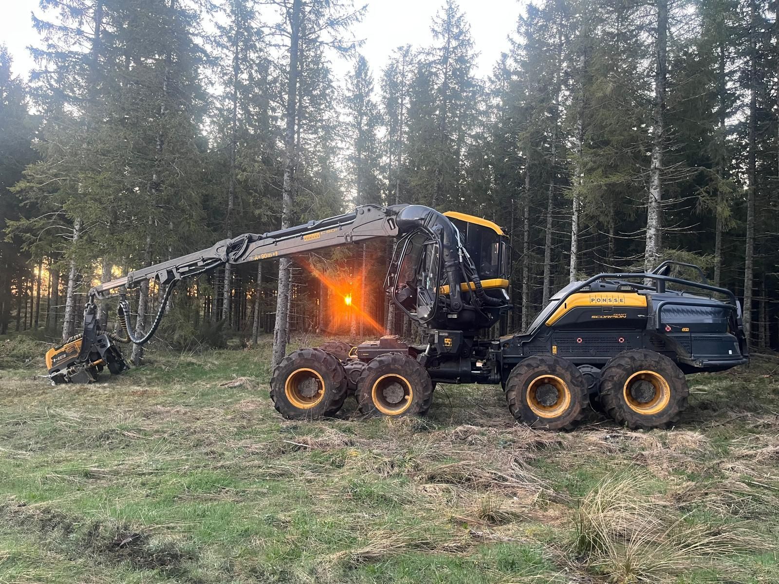 Des engins abattent des arbres