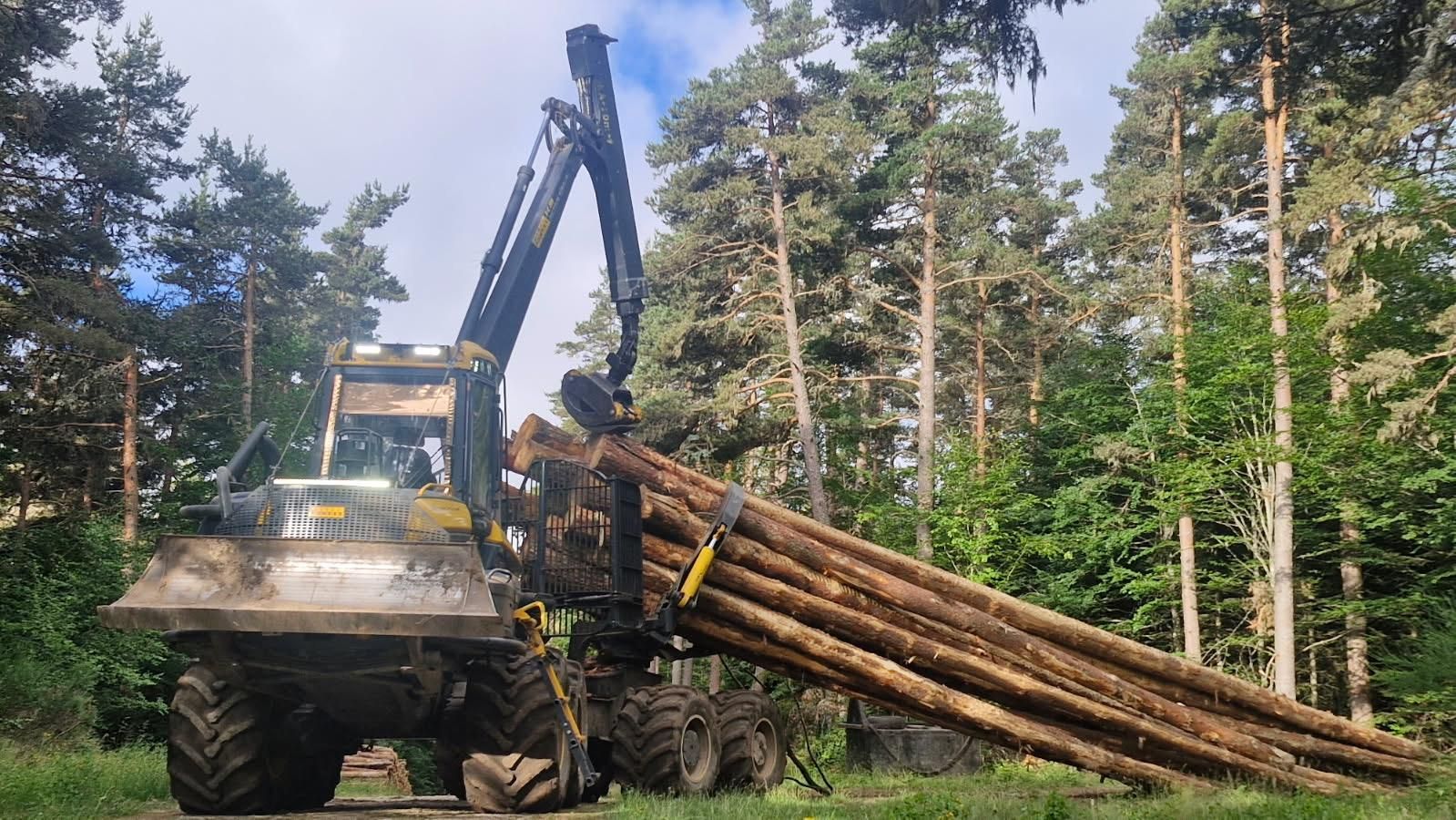 Machine forestière transportant des grumes dans une zone boisée. La machine est grise et équipée de gros pneus.