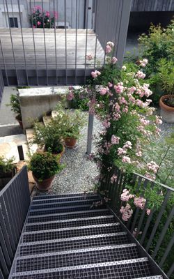 Architecture - Francis Rulence Architecture - St-Livres (Vaud)