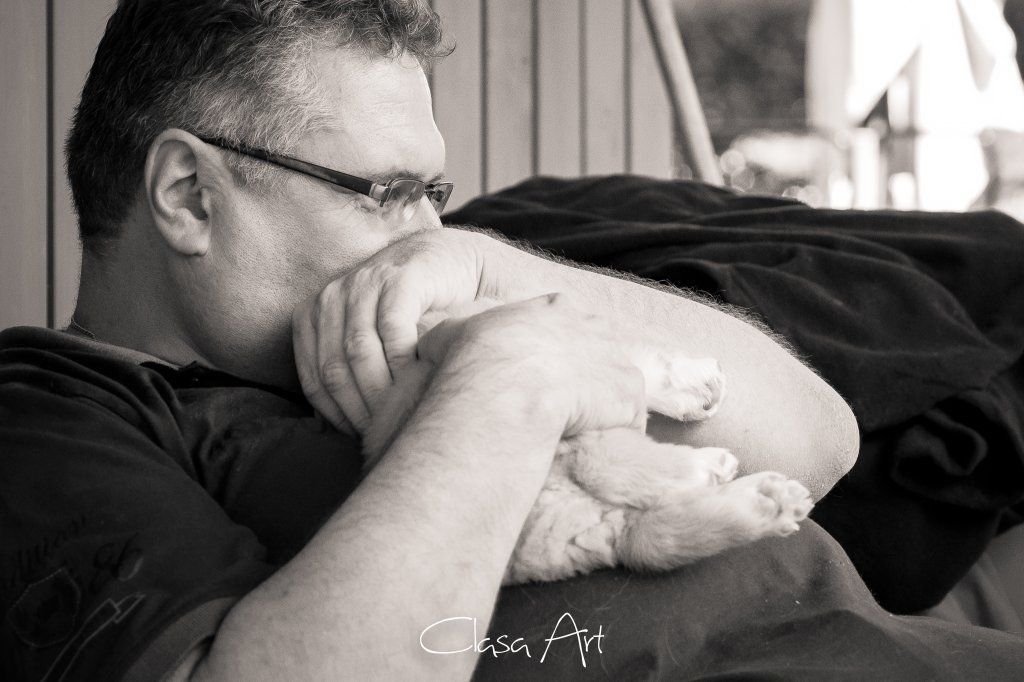 Passion And Fire NSDT Retriever