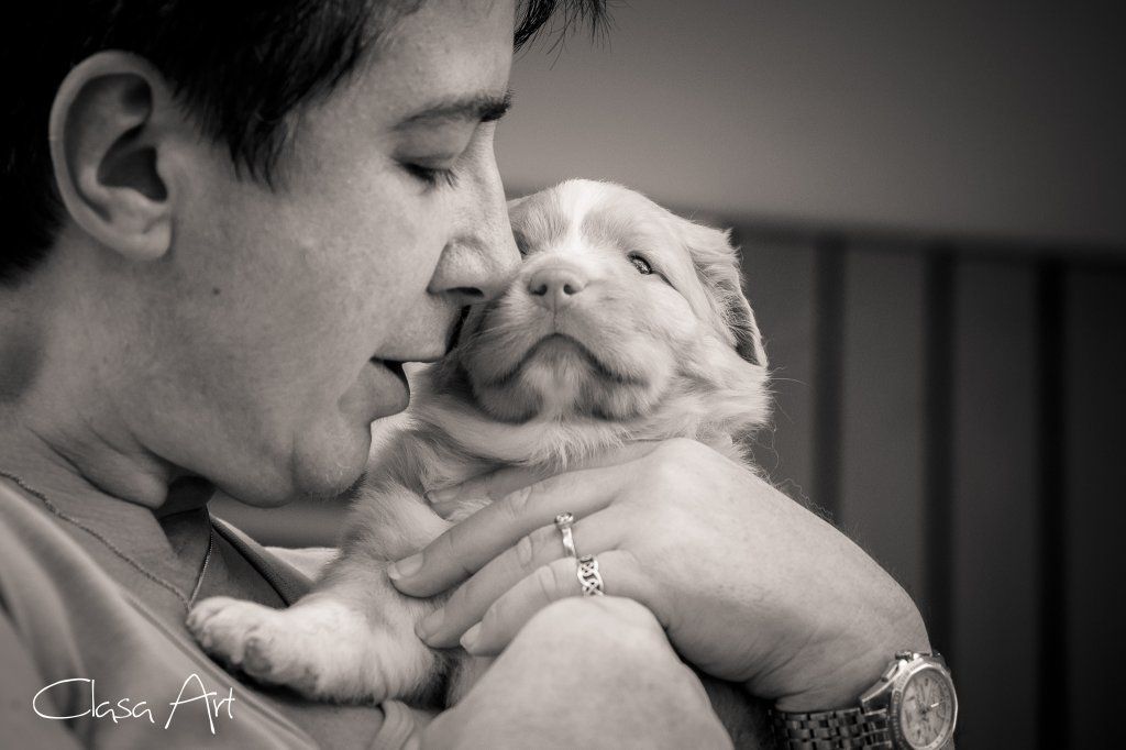 Passion And Fire NSDT Retriever