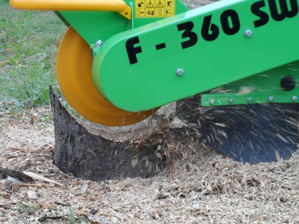 Broyeur de souches à lame dentée posé sur une souche d'arbre, machinerie grise et noire.