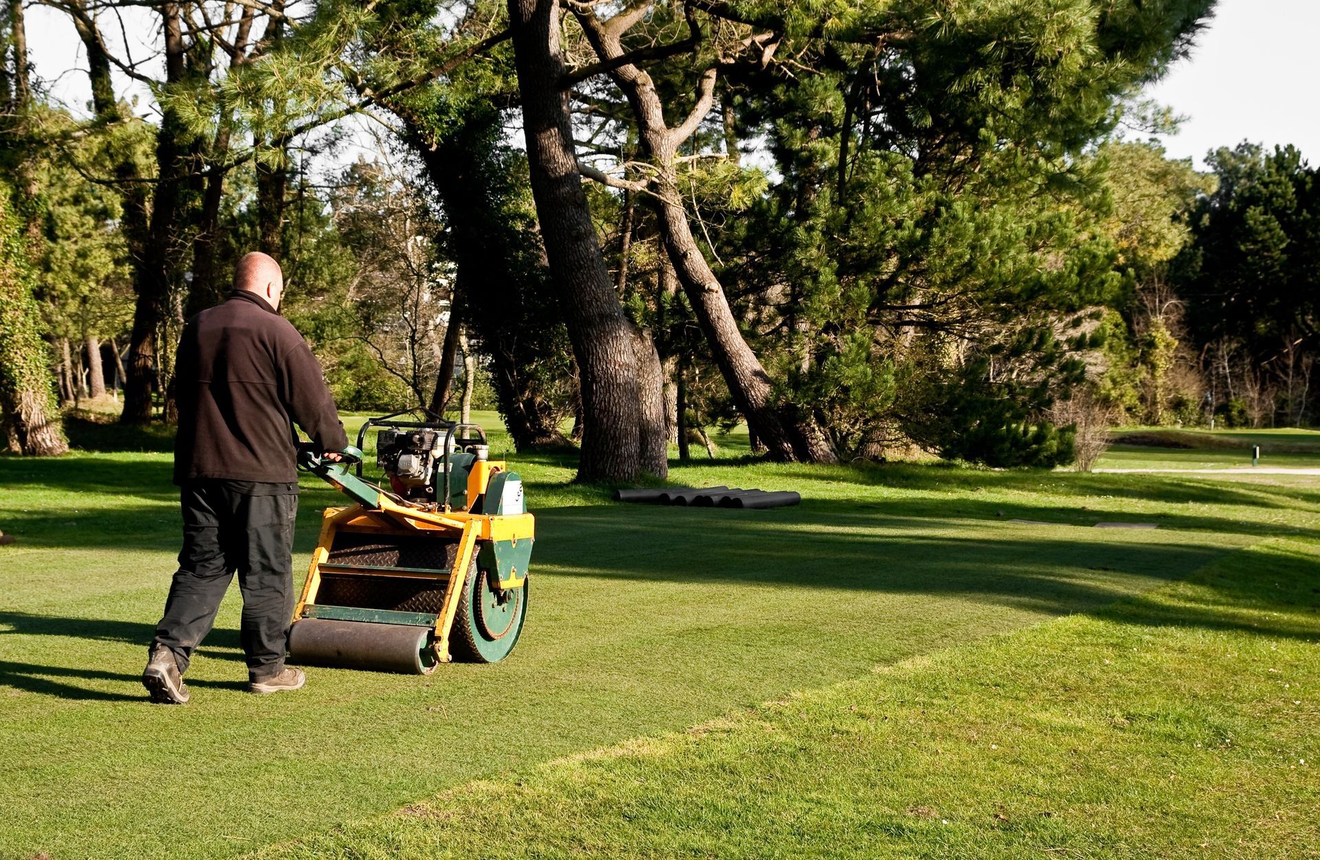 Un homme utilise un rouleau à gazon sur un terrain dans un cadre verdoyant et ensoleillé.
