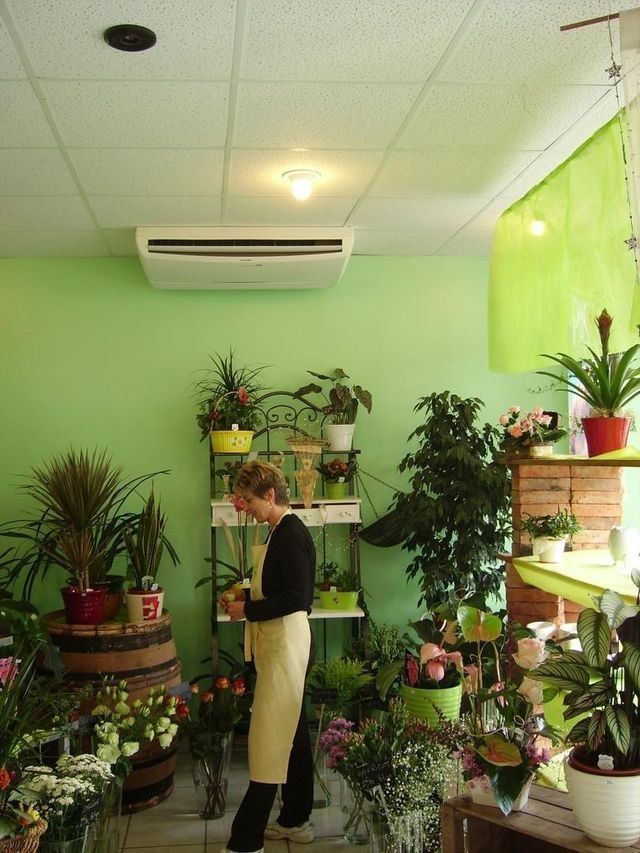 Climatisation chez une fleuriste