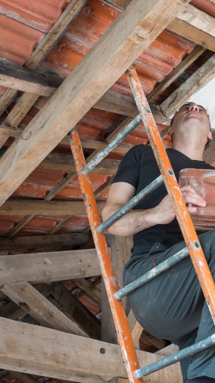 Un ouvrier, juché sur une échelle, inspecte les poutres en bois apparentes d'un plafond