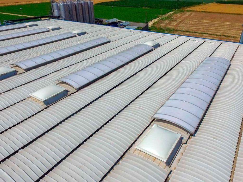 El tejado de un edificio con muchos tragaluces.