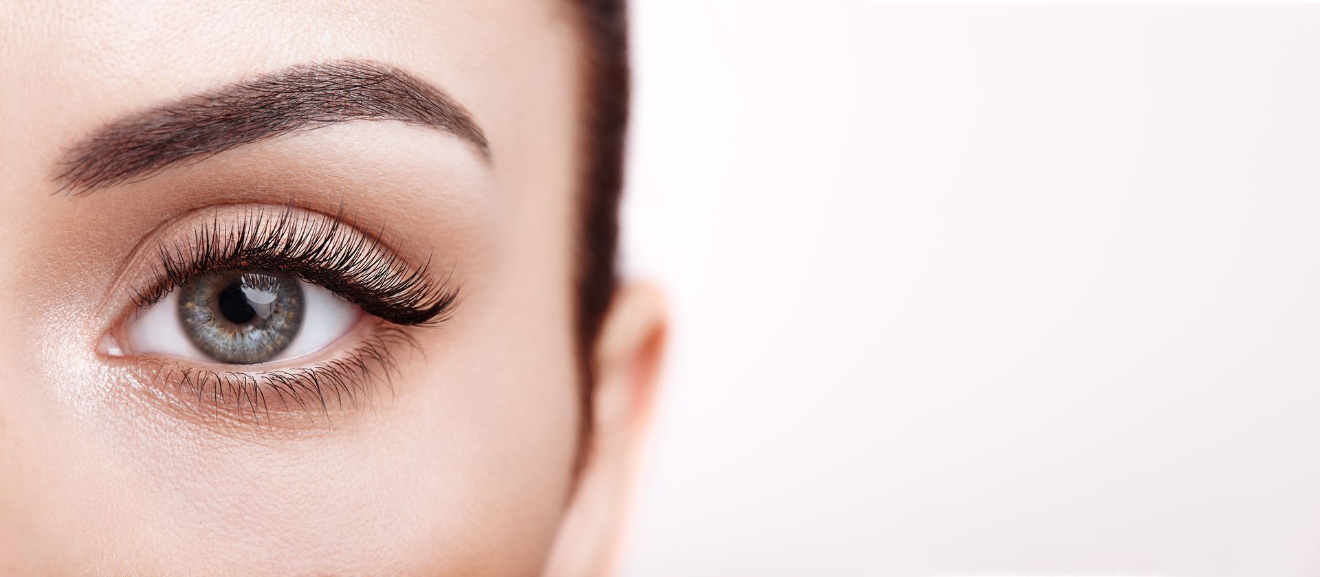 Nahaufnahme eines Auges mit gepflegten Augenbrauen, hellgoldenem Glitzerlidschatten und schwarzem Winged Eyeliner auf weissem Hintergrund.