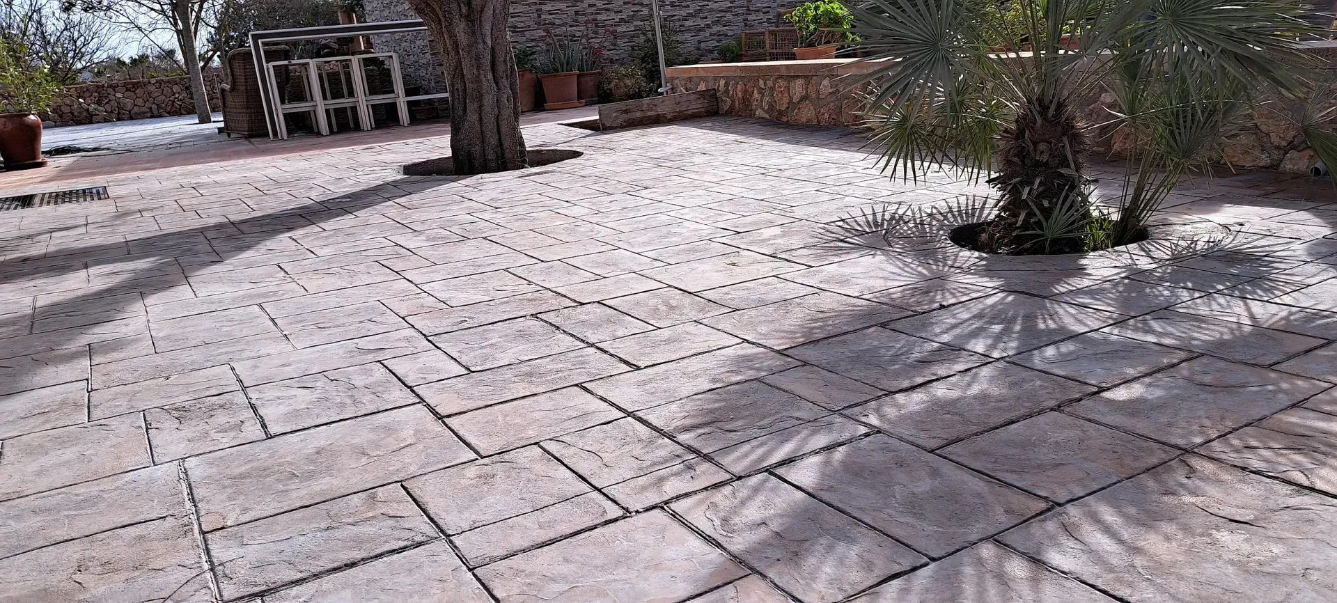 Un patio con un árbol al fondo y una sombra de un árbol en el suelo.
