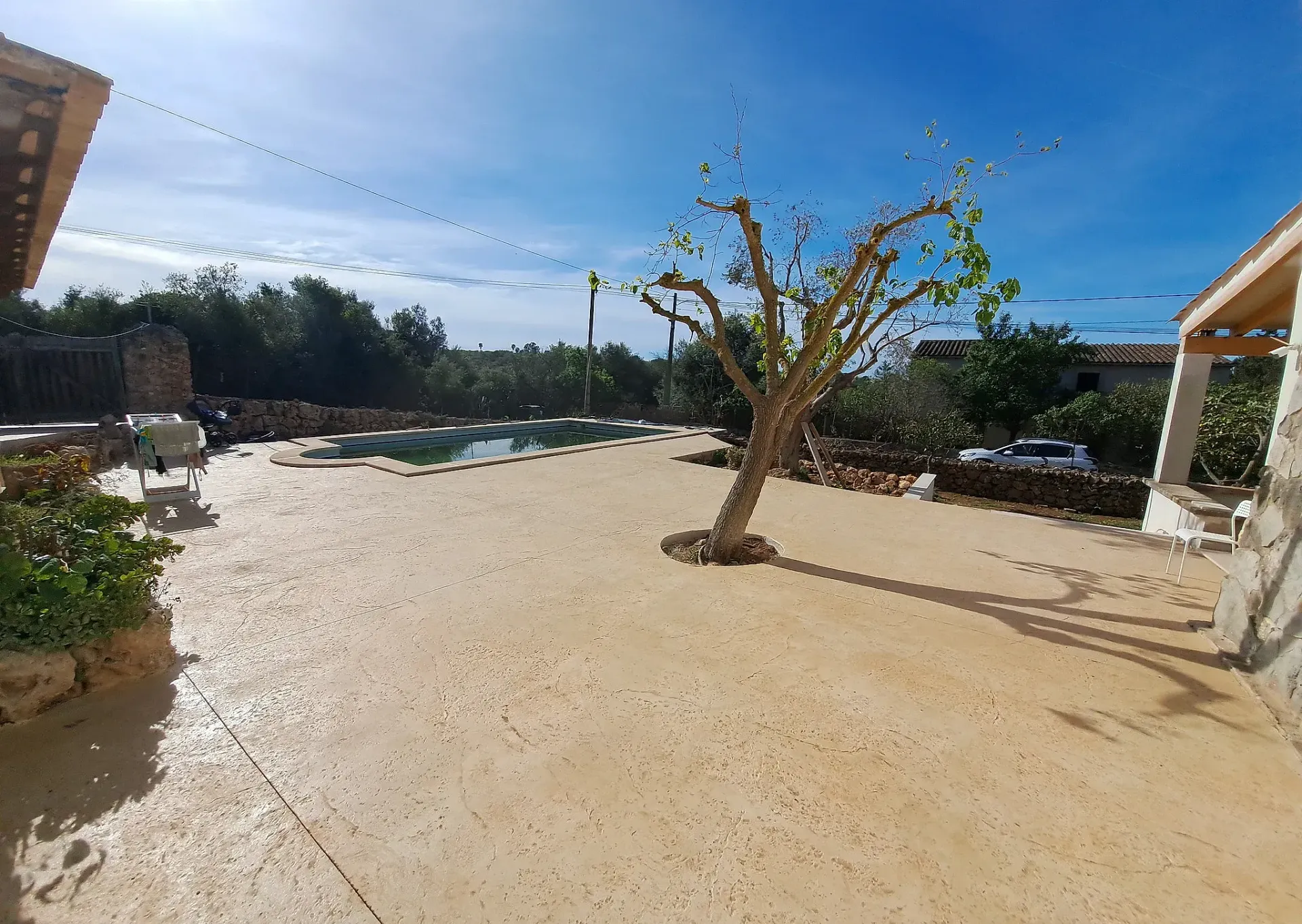 Una gran zona de arena con un árbol en el medio.