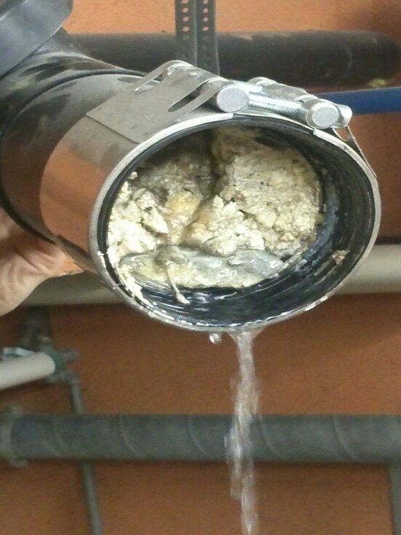 Berner Successeur Orlando Walter