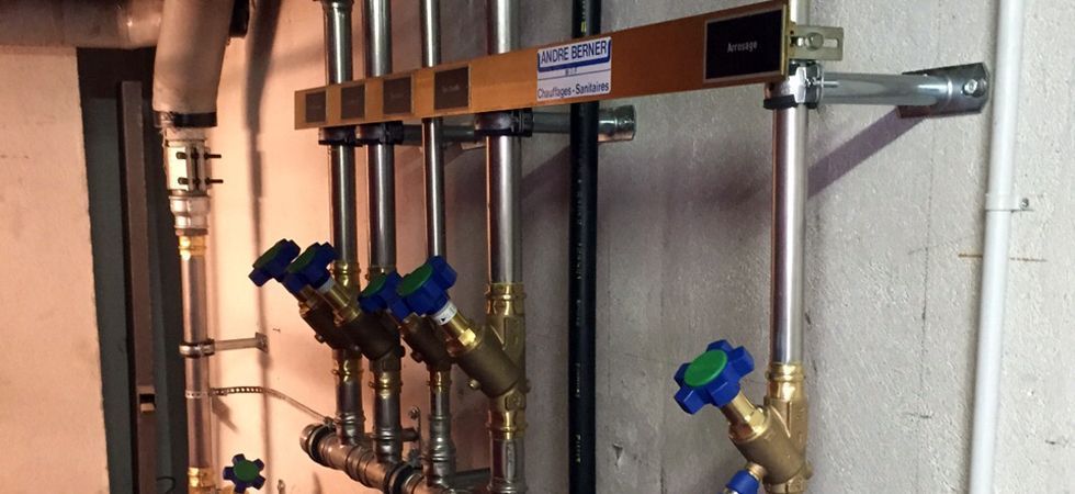 Berner Successeur Orlando Walter