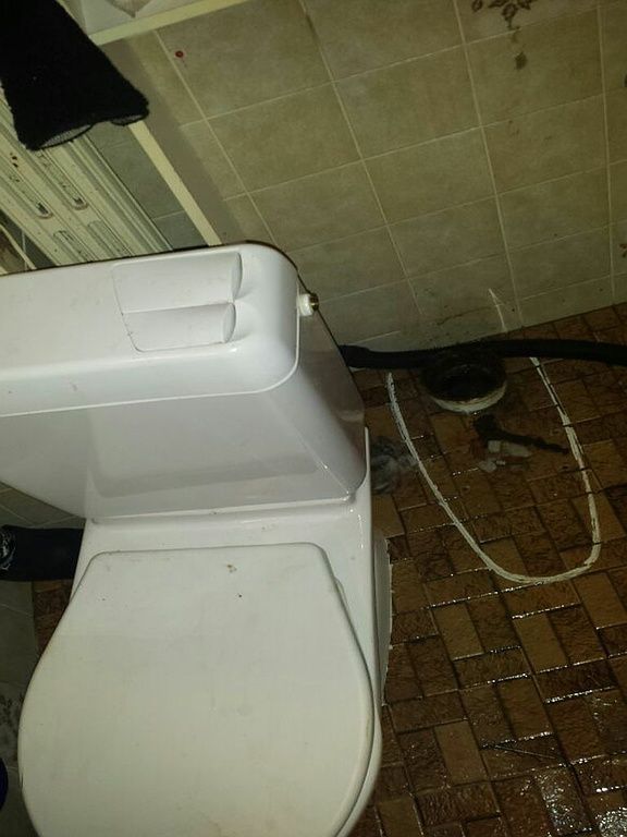 Berner Successeur Orlando Walter