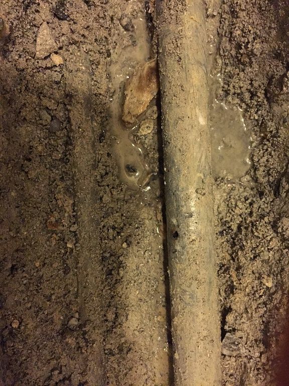 Berner Successeur Orlando Walter