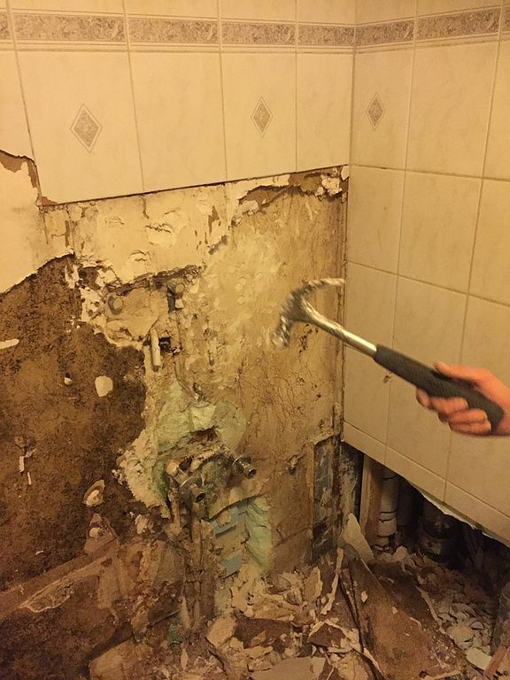 Berner Successeur Orlando Walter