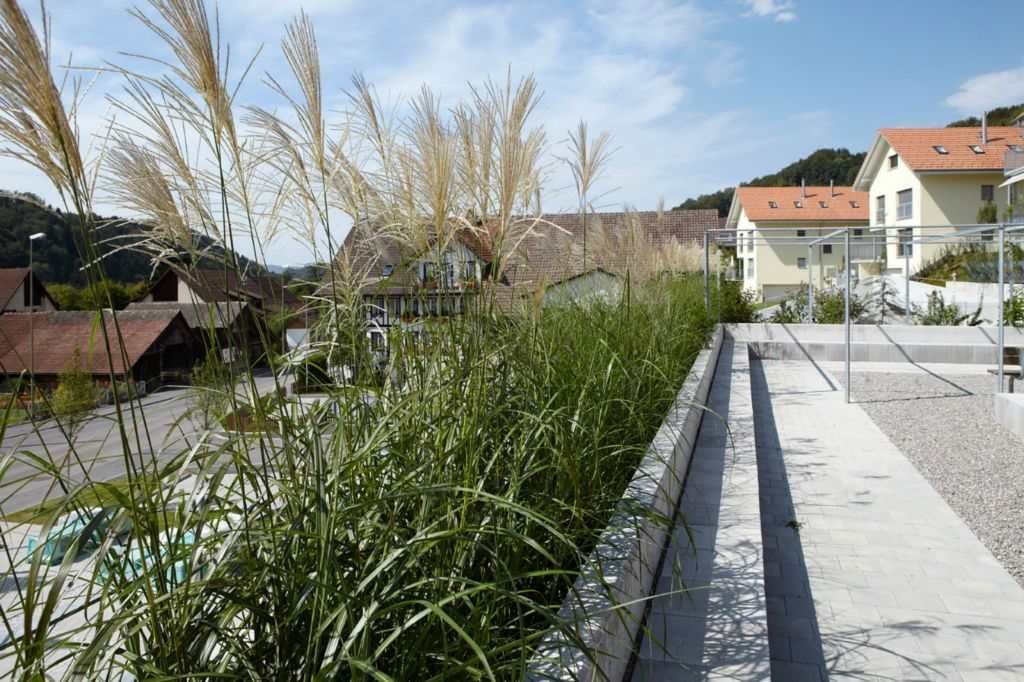 Garten im öffentlichen Bereich. Foto von der F. Berner Gartenbau AG.