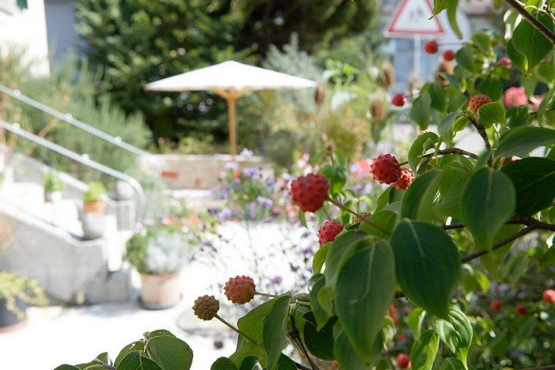 Pflanzen mit Blumen in einem Garten. Foto von der F. Berner Gartenbau AG.