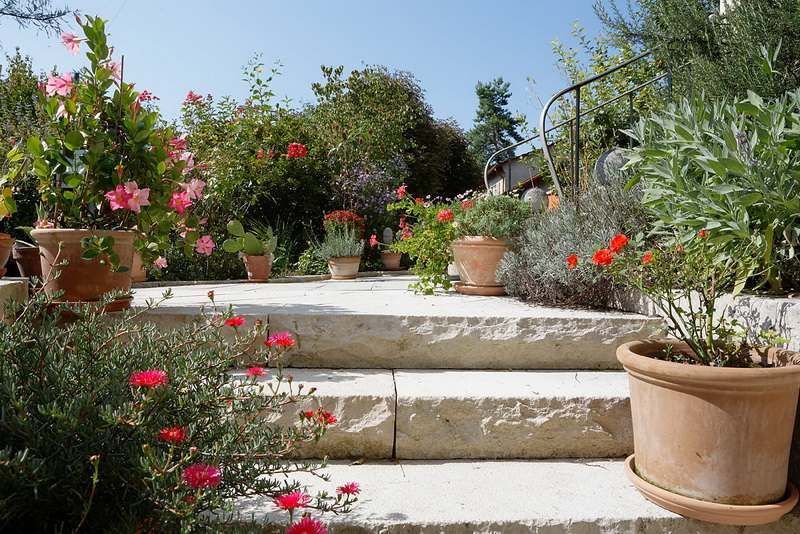 Topfpflanzen in einem Garten. Foto von der F. Berner Gartenbau AG.