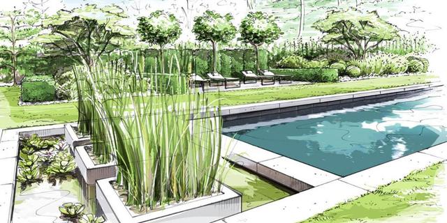 Croquis d'un jardin avec piscine