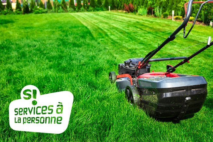 Tonte d'un jardin avec le logo Services à la personne
