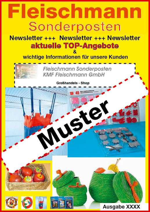 Sonderposten Fleischmann Newsletter