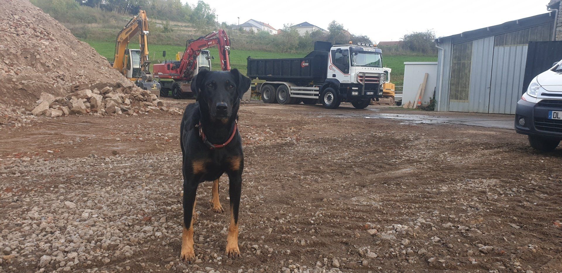 Notre mascotte: Liebsy